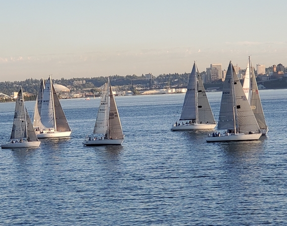 Meet your Posher, Malia - Picture 7 of 10